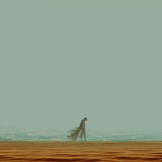 Timothée Chalamet 4k wallpaper