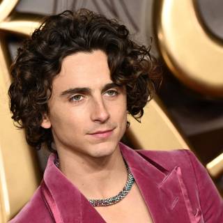 Timothée Chalamet 4k wallpaper