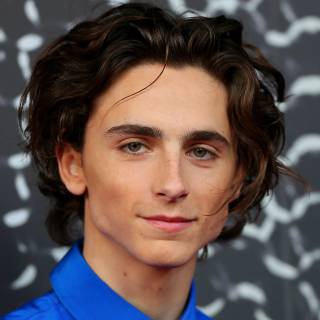 Timothée Chalamet 4k wallpaper