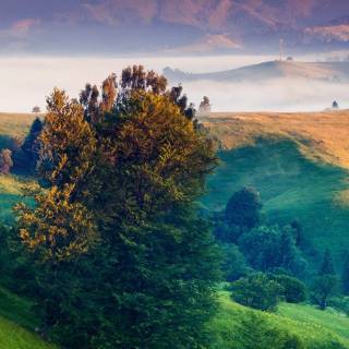 Scenic 4k iPhone wallpaper