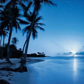 Night by the sea wallpaper
