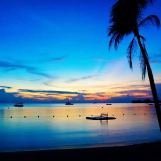 4k night beach wallpaper