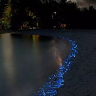 Night beach phone wallpaper