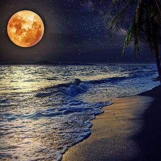 Beach night phone wallpaper