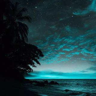 Beach night phone wallpaper