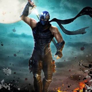 Ninja Gaiden wallpaper