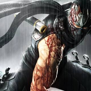 Ninja Gaiden wallpaper