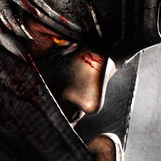 Ninja Gaiden wallpaper