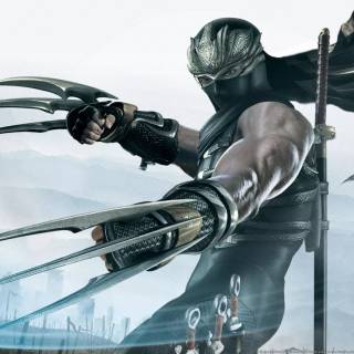 Ninja Gaiden wallpaper