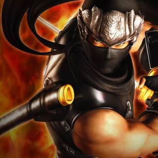 Ninja Gaiden wallpaper