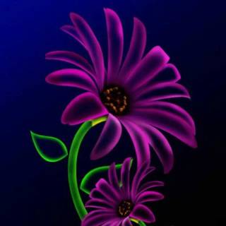 Cool neon purple and green wallpaper