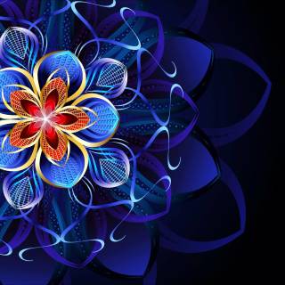 Neon flowers 4k wallpaper