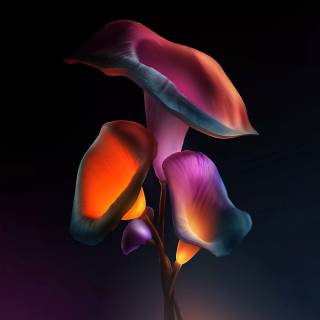 Neon flowers 4k wallpaper