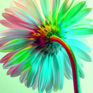 Neon flowers 4k wallpaper