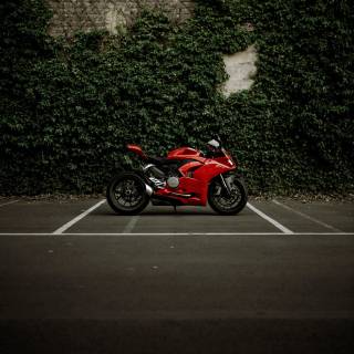 Ducati Panigale phone wallpaper