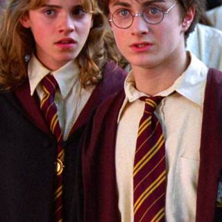 Harry Ron Hermione wallpaper