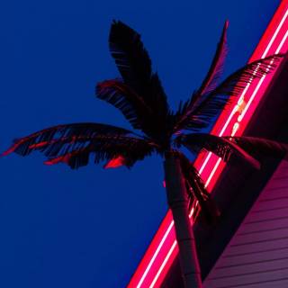 Red neon phone wallpaper