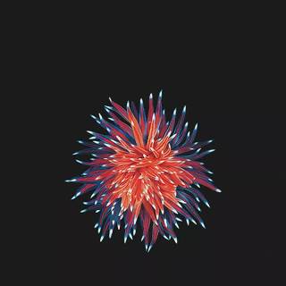 iPhone SE default wallpaper