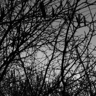 Heavy metal iPhone wallpaper