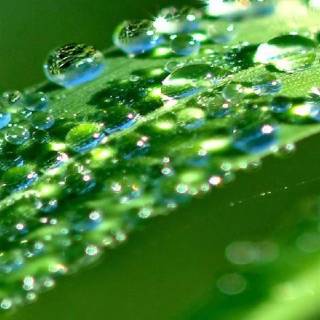 Glow iPhone wallpaper