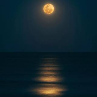 Full moon phone wallpaper