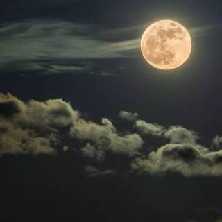 Full moon phone wallpaper