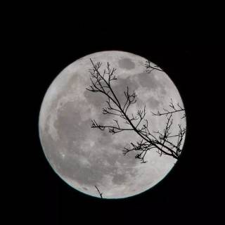 Full moon phone wallpaper