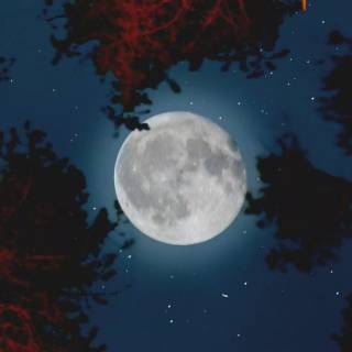 Full moon phone wallpaper