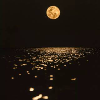 Full moon phone wallpaper