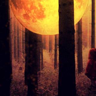 Full moon phone wallpaper