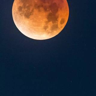 Full moon phone wallpaper