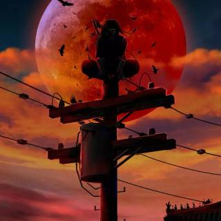 Full moon phone wallpaper