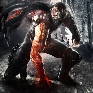 Ninja Gaiden wallpaper