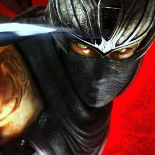 Ninja Gaiden wallpaper