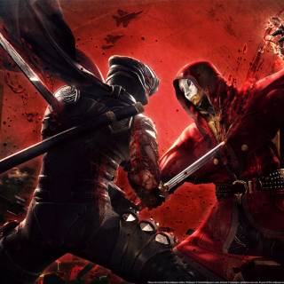 Ninja Gaiden wallpaper
