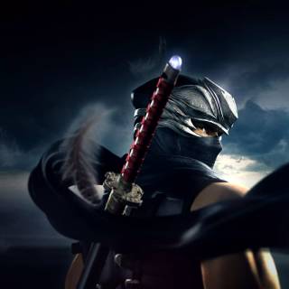 Ninja Gaiden wallpaper