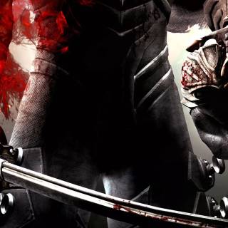 Ninja Gaiden wallpaper
