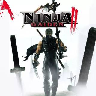 Ninja Gaiden wallpaper