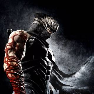 Ninja Gaiden wallpaper