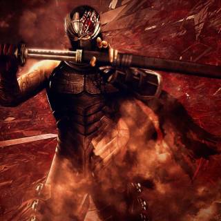 Ninja Gaiden wallpaper