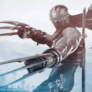 Ninja Gaiden wallpaper