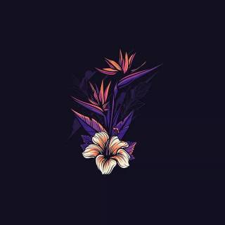 Amoled display phone wallpaper