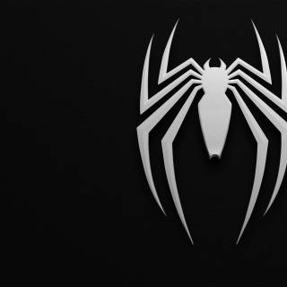PS5 black and white wallpaper