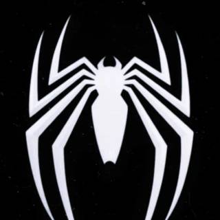 PS5 black and white wallpaper