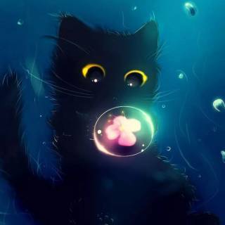 Galaxy kitten wallpaper