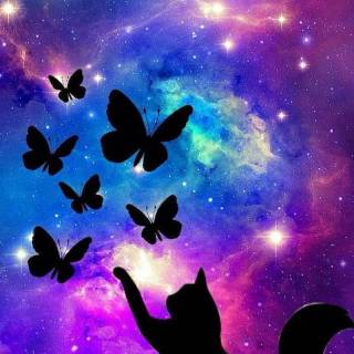 Galaxy kitten wallpaper