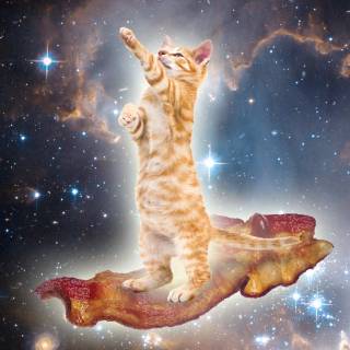 Galaxy kitten wallpaper