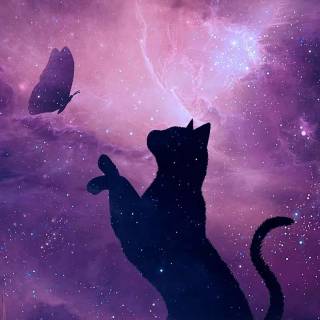 Galaxy kitten wallpaper