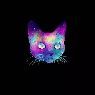 Galaxy kitten wallpaper