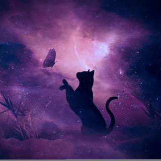 Galaxy kitten wallpaper